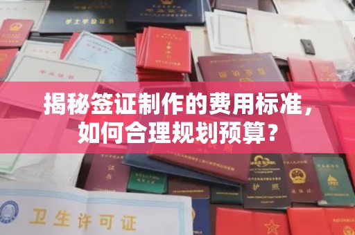 奉化揭秘签证制作的费用标准，如何合理规划预算？
