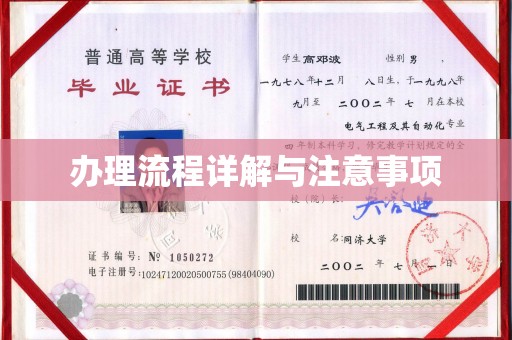 奉化办理流程详解与注意事项